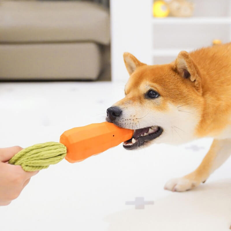 Brinquedo de Morder de Cenoura com Apito Durável para Cachorro