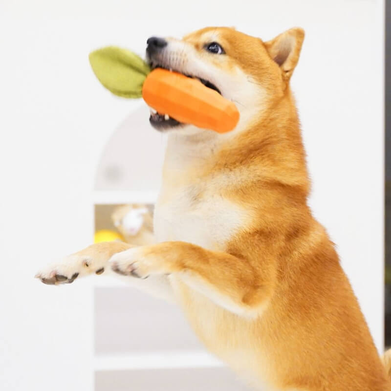 Brinquedo de Morder de Cenoura com Apito Durável para Cachorro