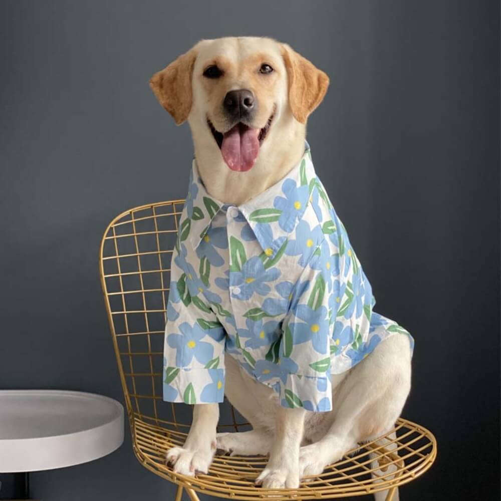 Camisa floral encantadora para animais de estimação e roupas combinando com o proprietário