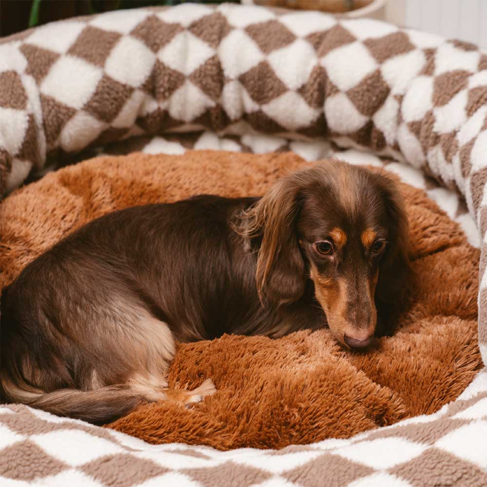 Cama para cachorro Clássico Argila lavável Bolinho de Donut - Refúgio acolhedor