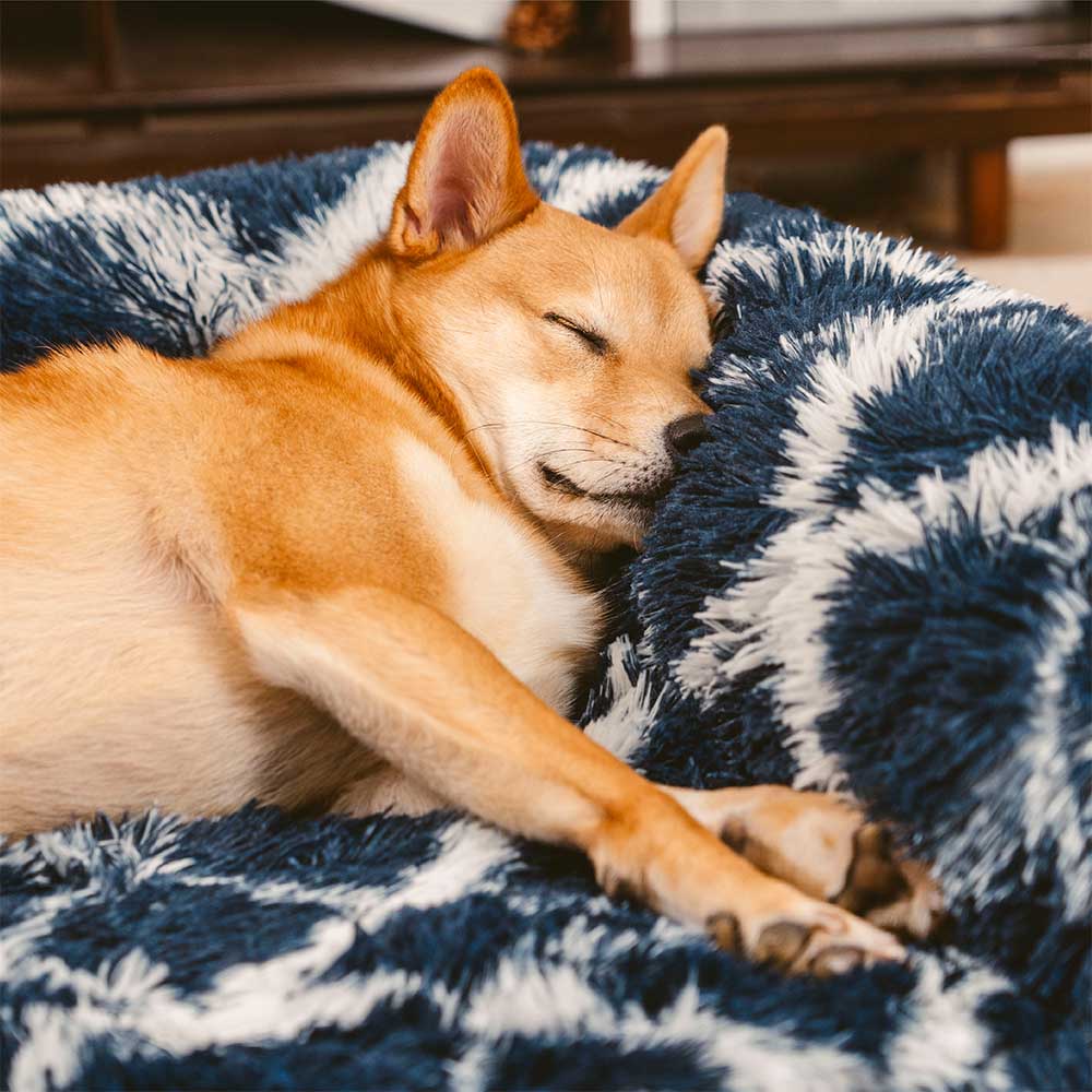 Sofá-cama ortopédico xadrez clássico para cães - conforto aconchegante