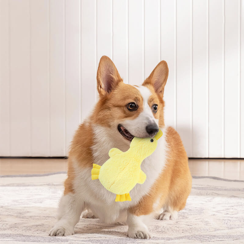 Conjunto interativo de brinquedos de mastigar para cães fofos - Diversão lúdica