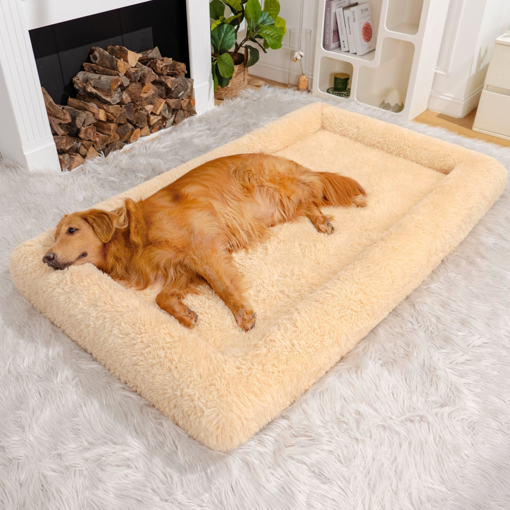 Cama Oval Luxuosa Super Grande para um Sono mais Profundo Cama para Cães e Pessoas