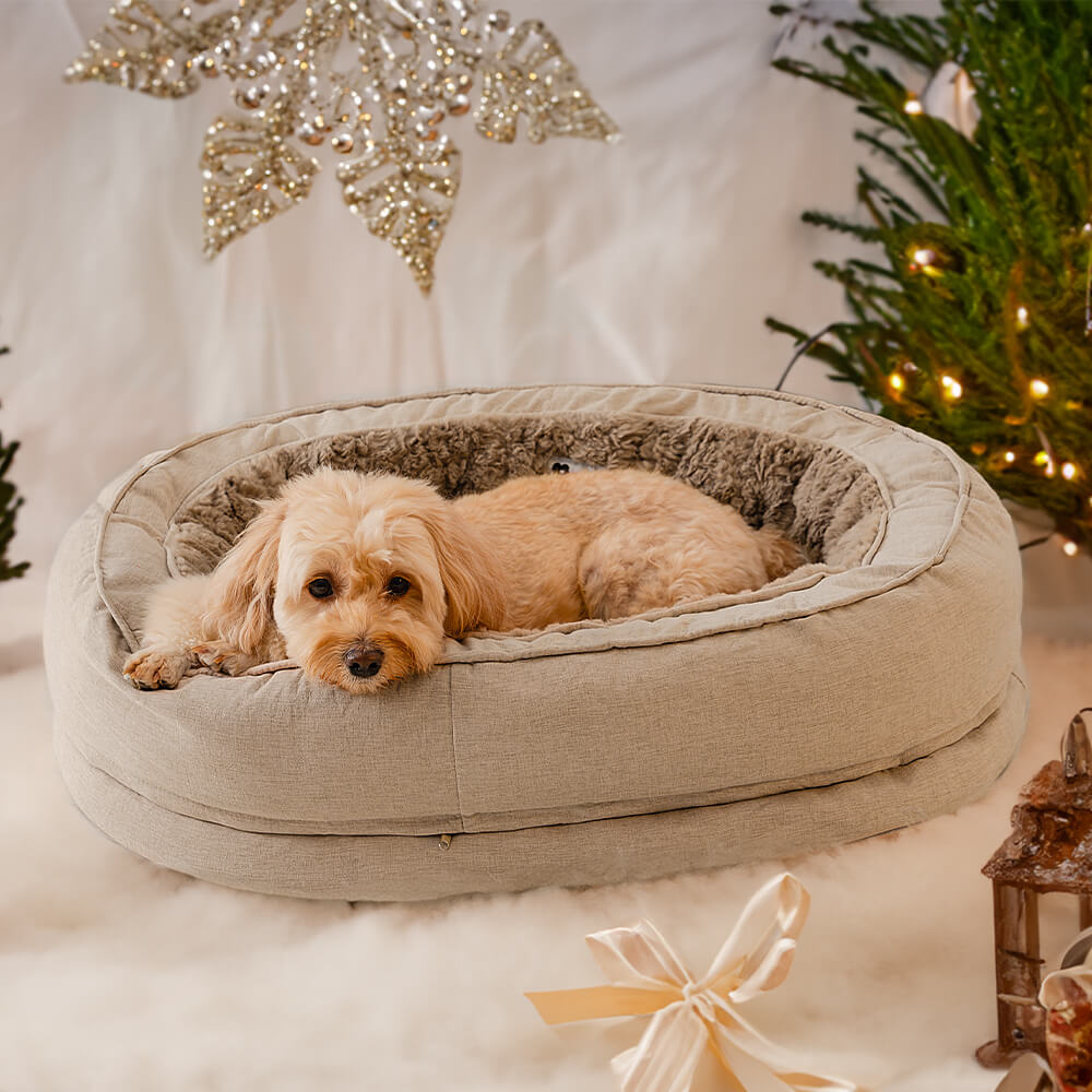 Cama Ortopédica Fofa para Cachorro Donut