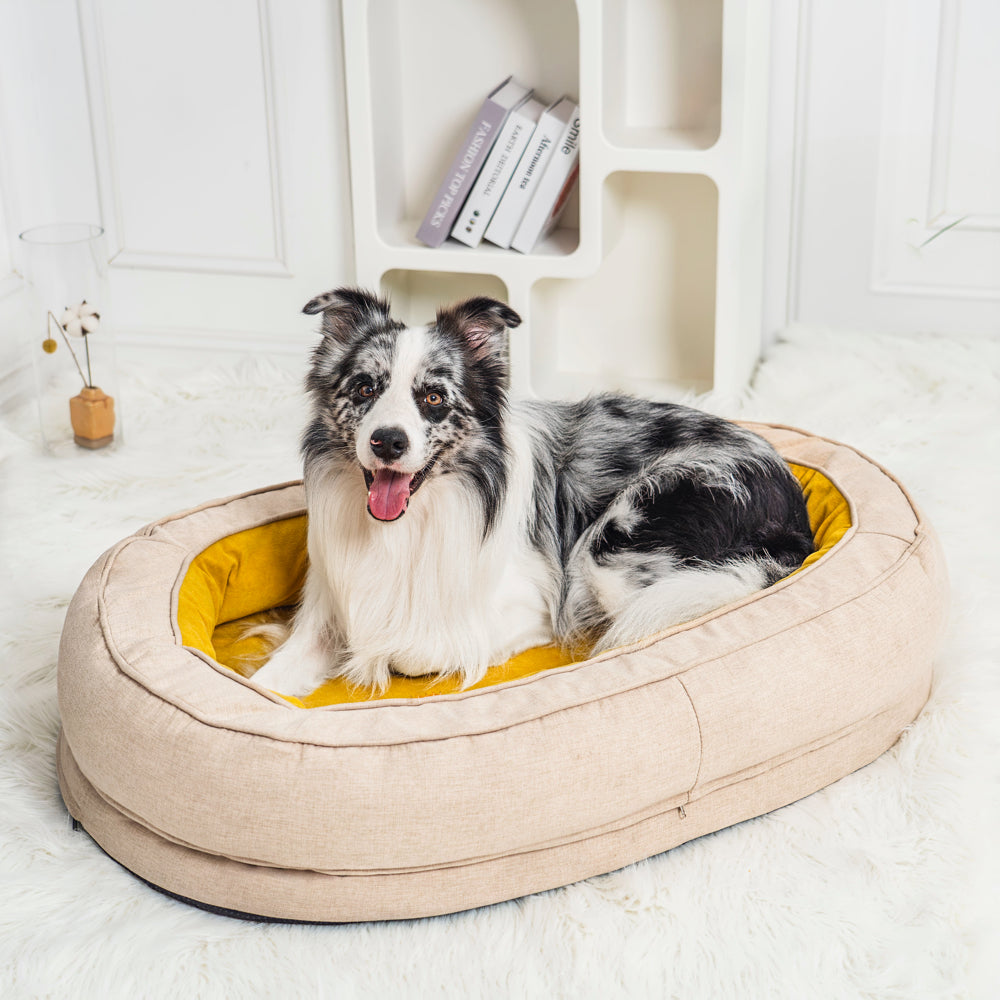 Cama Ortopédica Fofa para Cachorro Donut