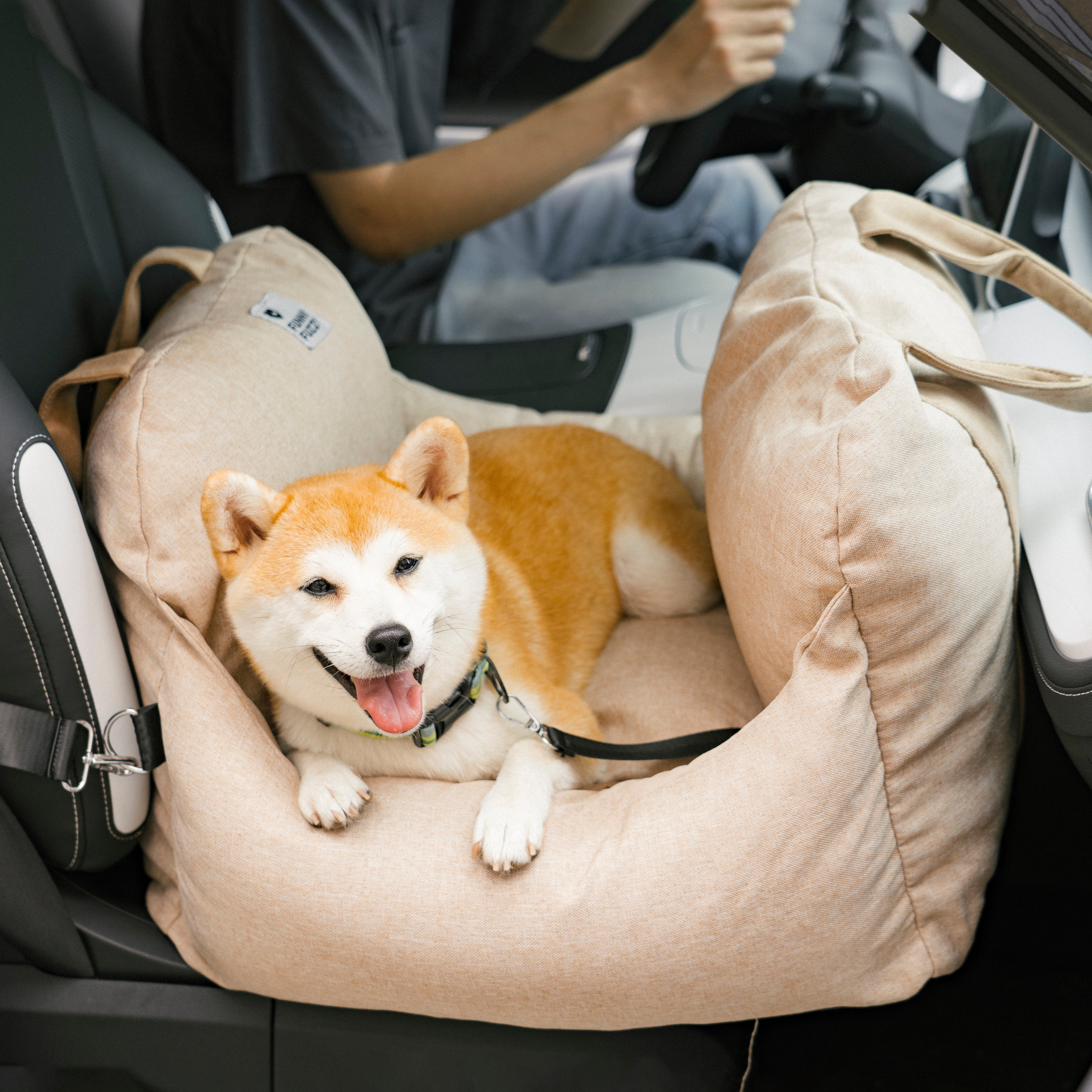 Cama para Assento de Carro para Cachorros e Filhotes para Viagens Seguras - Primeira classe