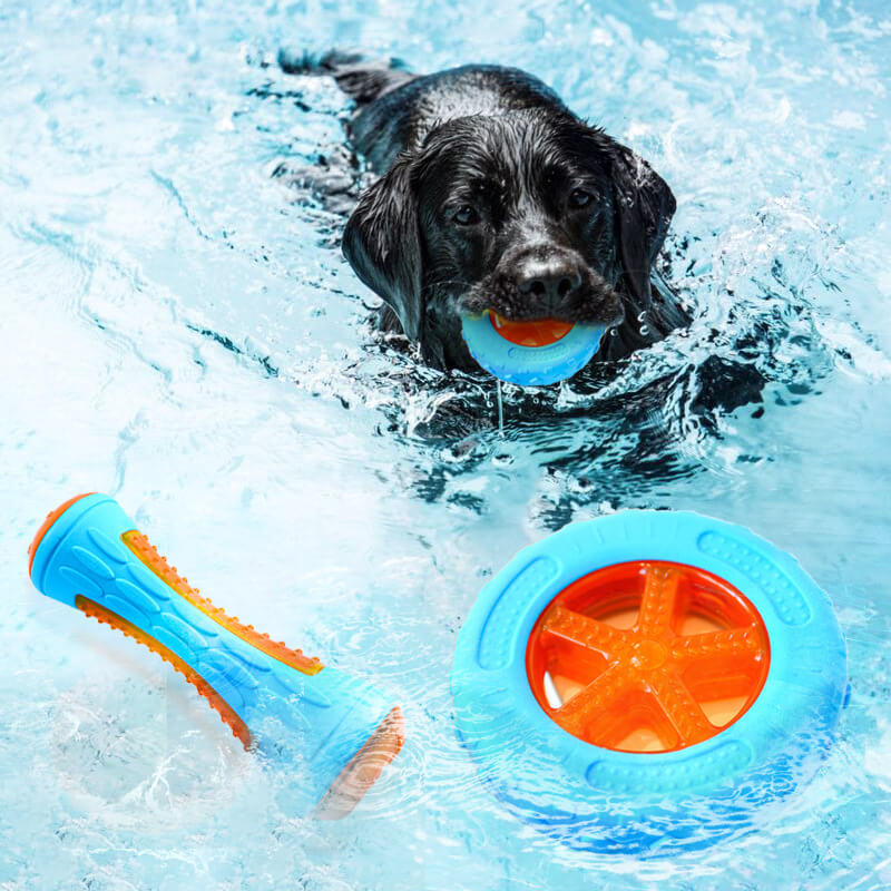 Brinquedo interativo para mastigar para cães Brinquedo de água flutuante ao ar livre