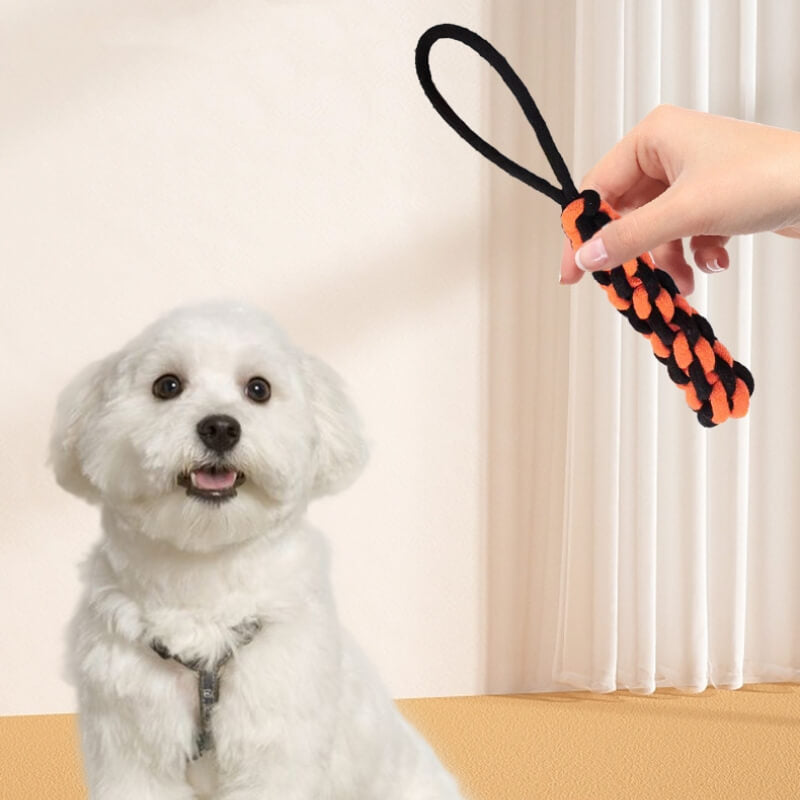 Brinquedo de corda para cachorro durável, brinquedo interativo para dentição e mastigação