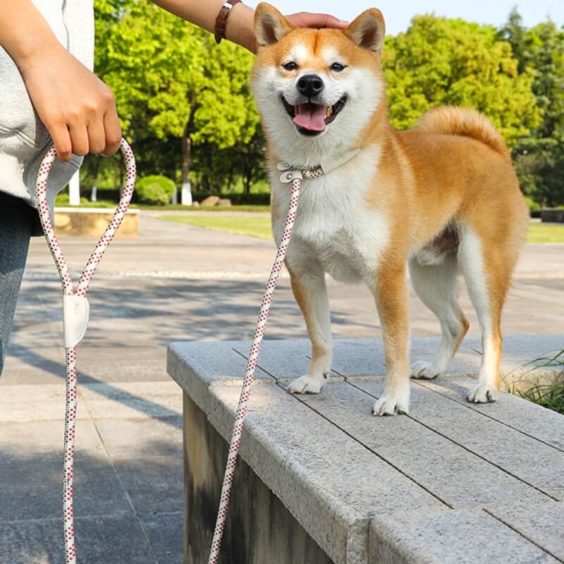 Trela de cão trançada de nylon à prova de explosão sem puxar