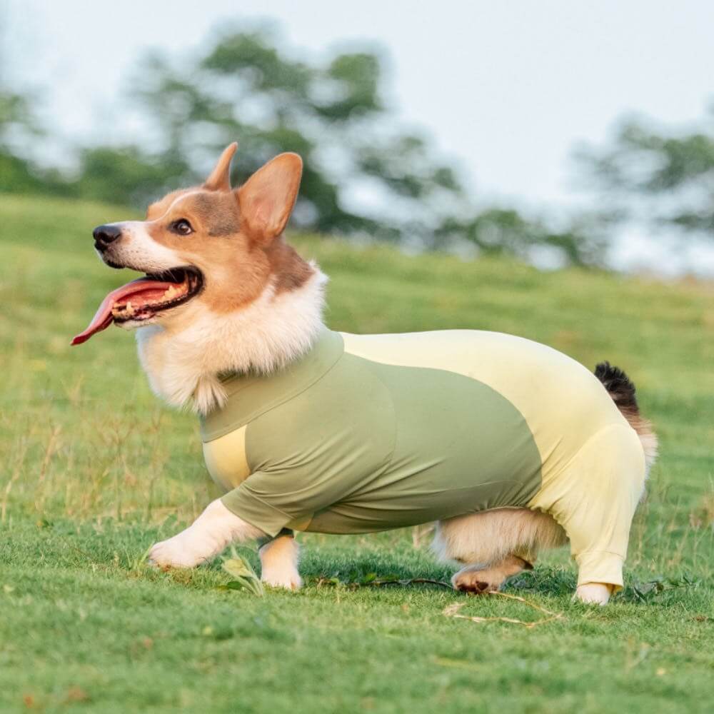 Protetor solar extra grande para cachorro Onesie com resfriamento de roupas para cachorro