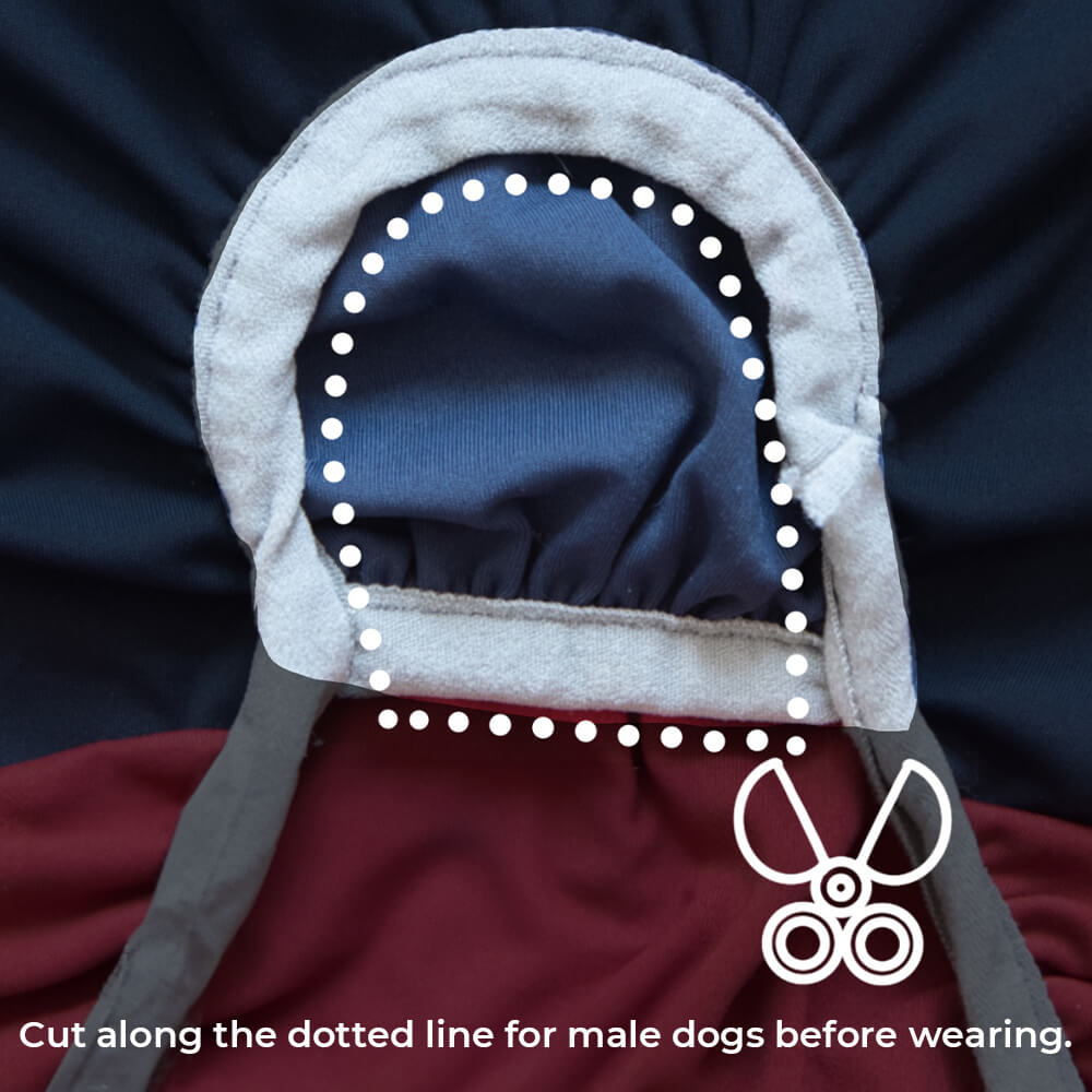 Protetor solar extra grande para cachorro Onesie com resfriamento de roupas para cachorro