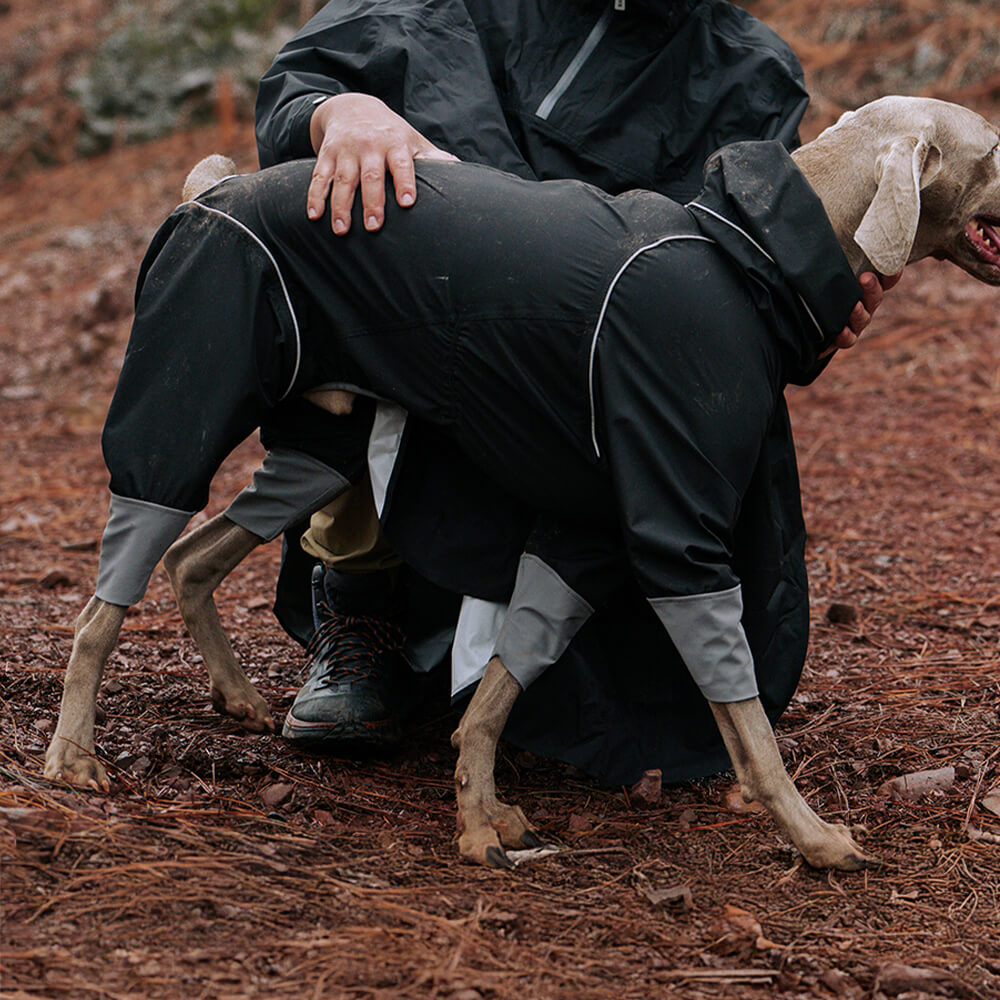 Capa de chuva leve impermeável de quatro patas com capuz e cordão reflexivo para cachorro e dono