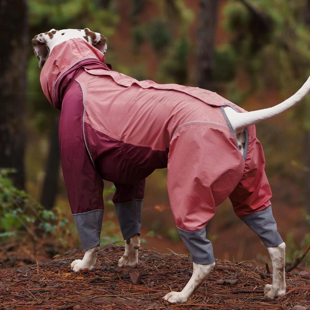 Capa de chuva leve impermeável de quatro patas com capuz e cordão reflexivo para cachorro e dono