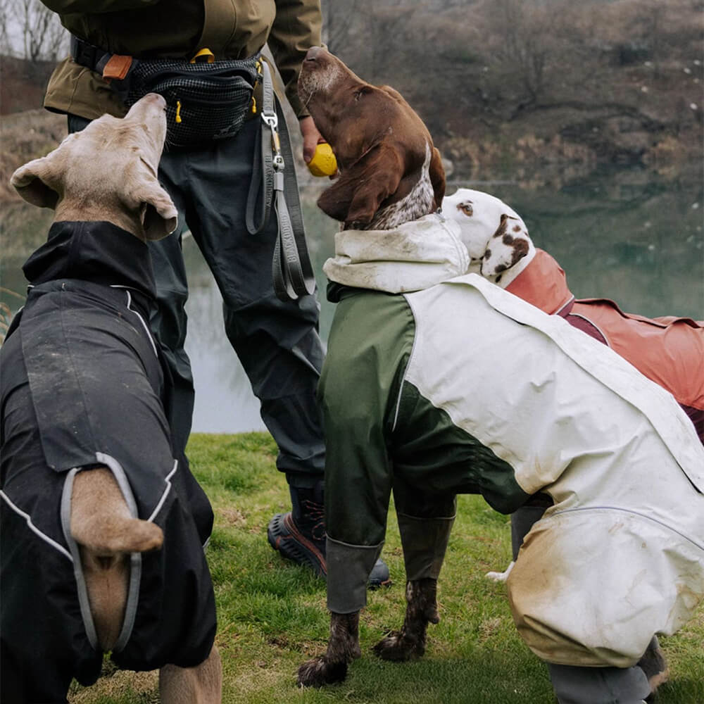 Capa de chuva leve impermeável de quatro patas com capuz e cordão reflexivo para cachorro e dono