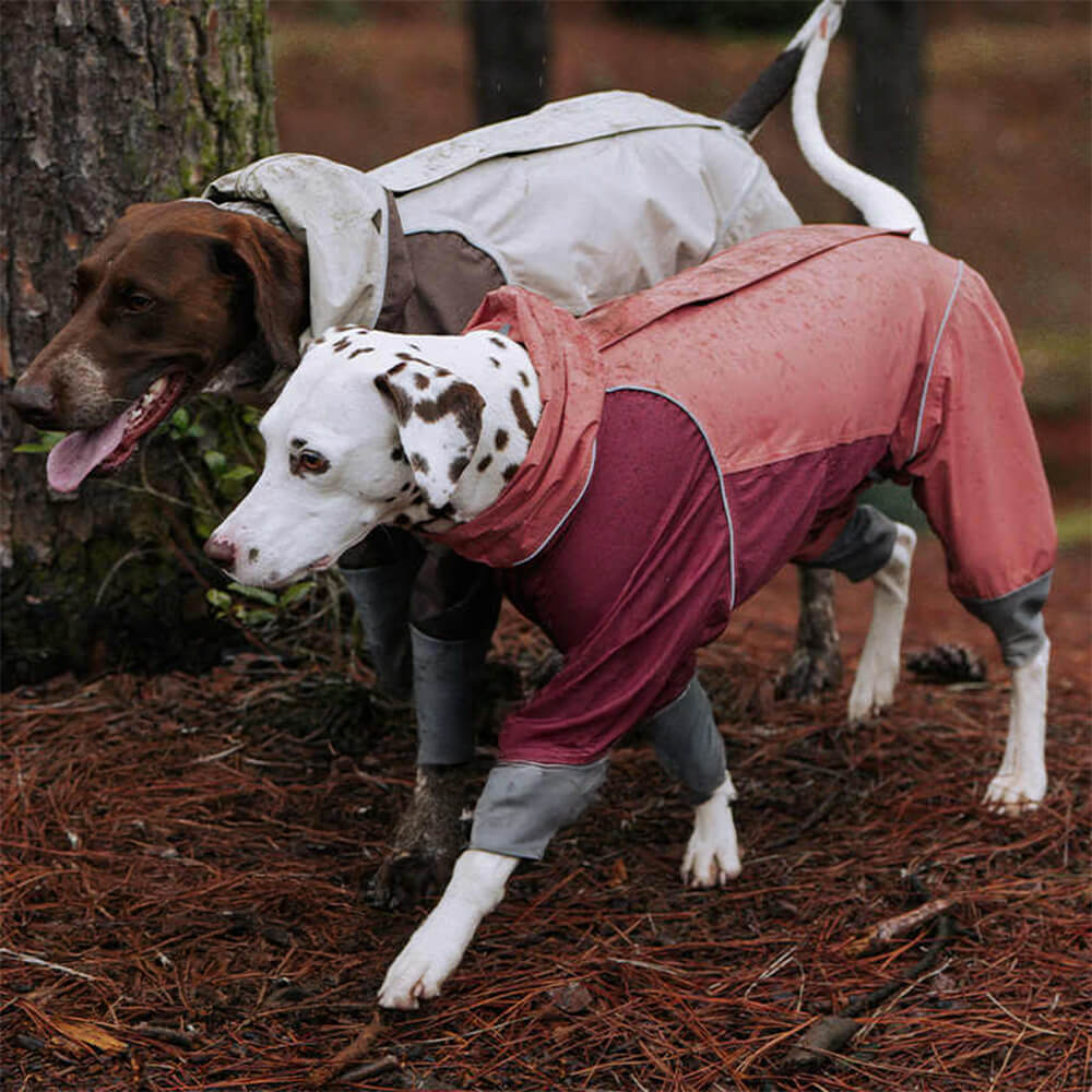 Capa de chuva leve impermeável de quatro patas com capuz e cordão reflexivo para cachorro e dono