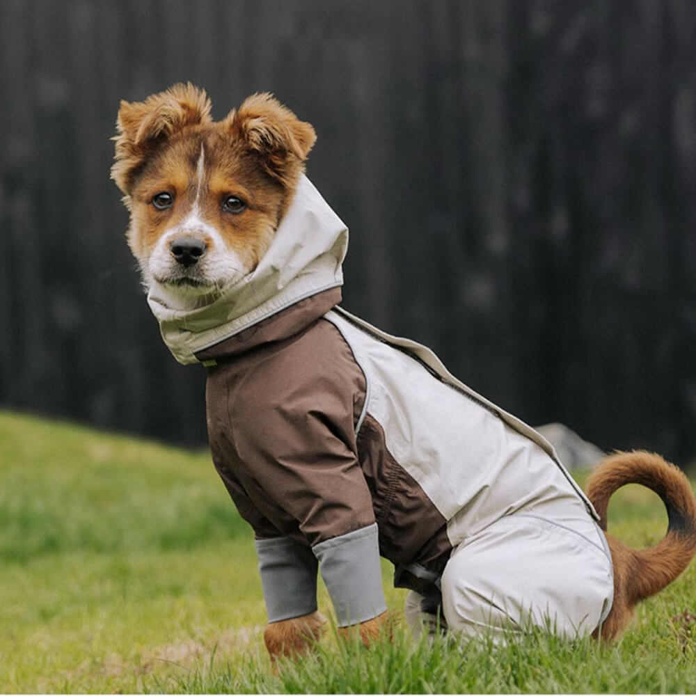 Capa de chuva leve impermeável de quatro patas com capuz e cordão reflexivo para cachorro e dono