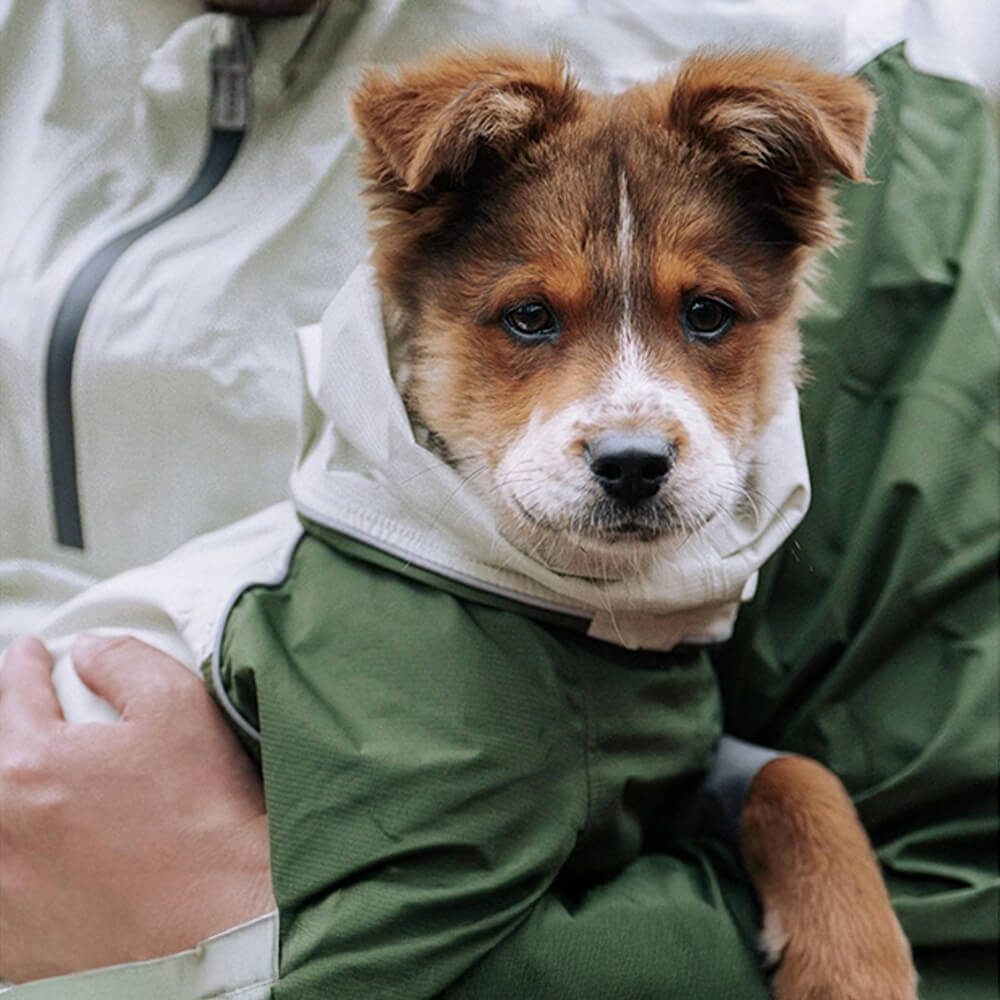 Capa de chuva leve impermeável de quatro patas com capuz e cordão reflexivo para cachorro e dono