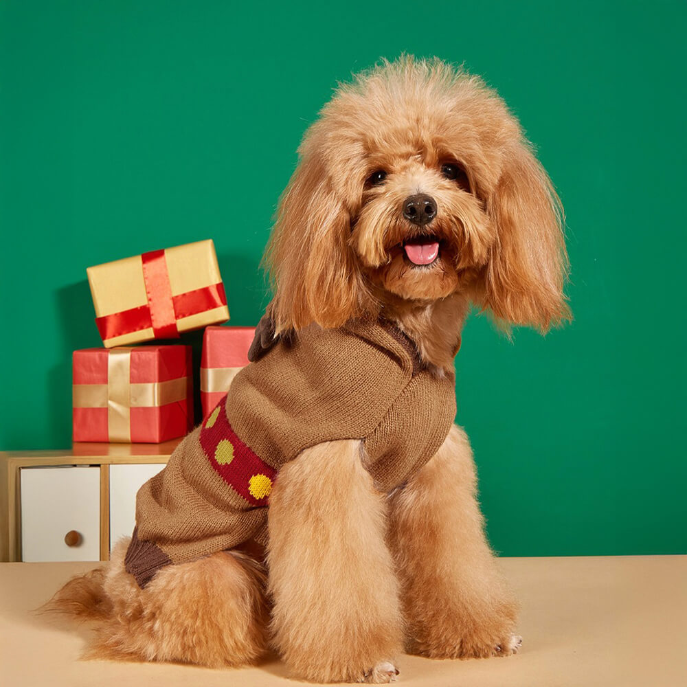 Camisola de gola alta grossa e quente para cachorro, meias combinando para animal de estimação e dono