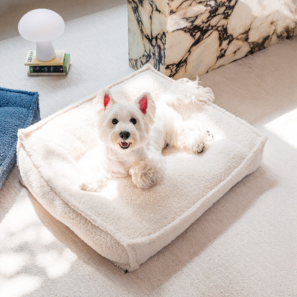 Cama para cães e gatos ortopédica de suporte curvo em tecido de pelúcia à prova d'água