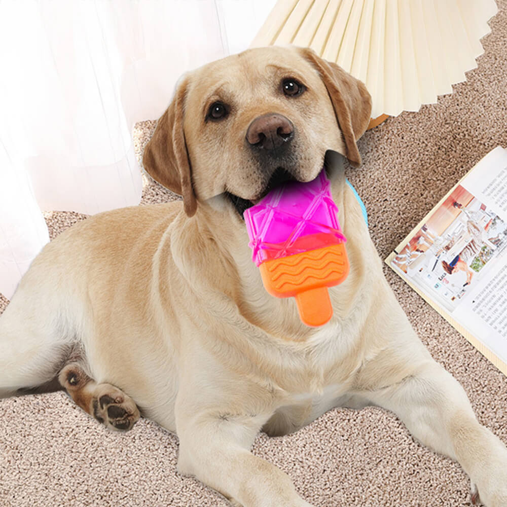 Brinquedo interativo para cachorro de TPR durável e congelável em forma de picolé