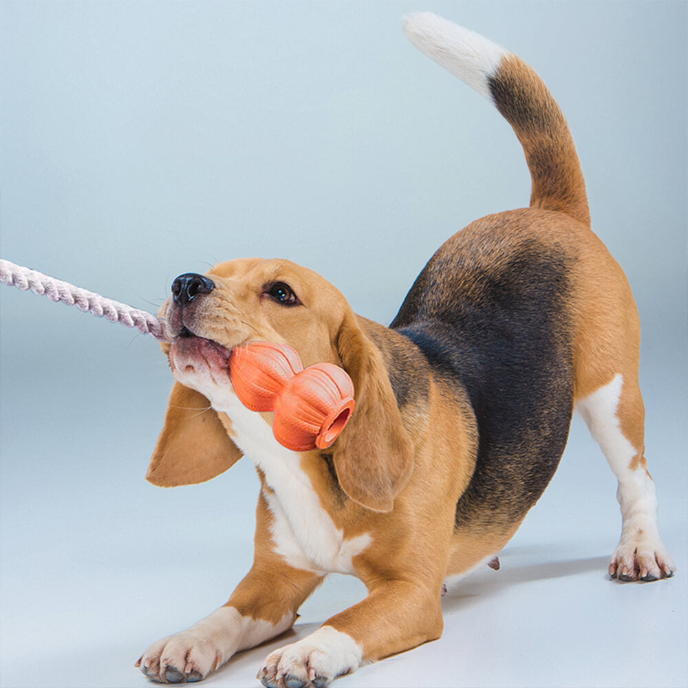 Brinquedo interativo durável para cães com corda de algodão