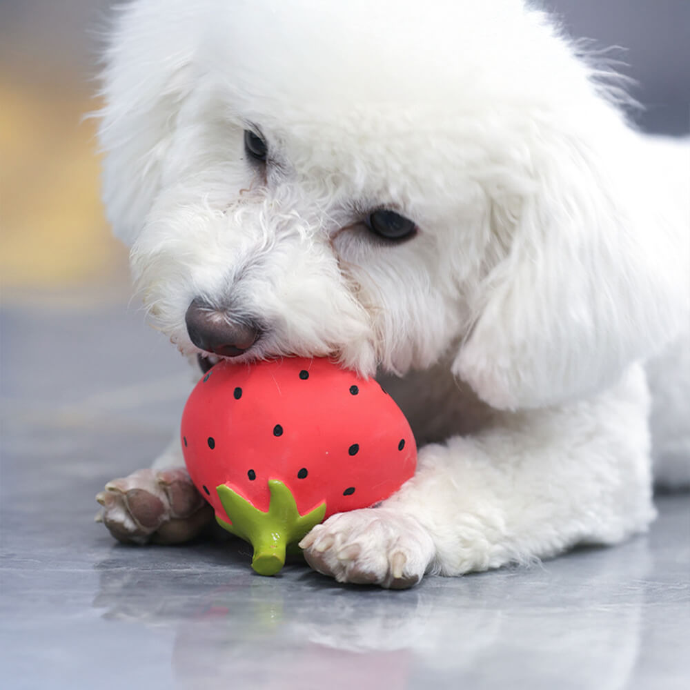 Brinquedo interativo para cães, látex, vegetal, durável, mastigador