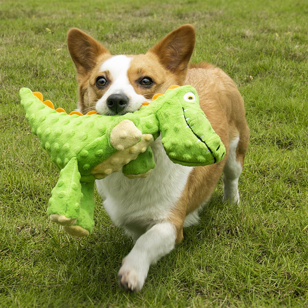 Brinquedo durável para cães jacaré resistente a mordidas com apito embutido