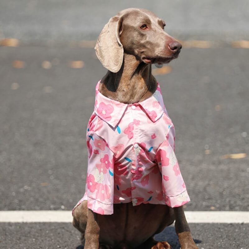 Roupa respirável da camisa floral cor-de-rosa elegante do cão para cães grandes