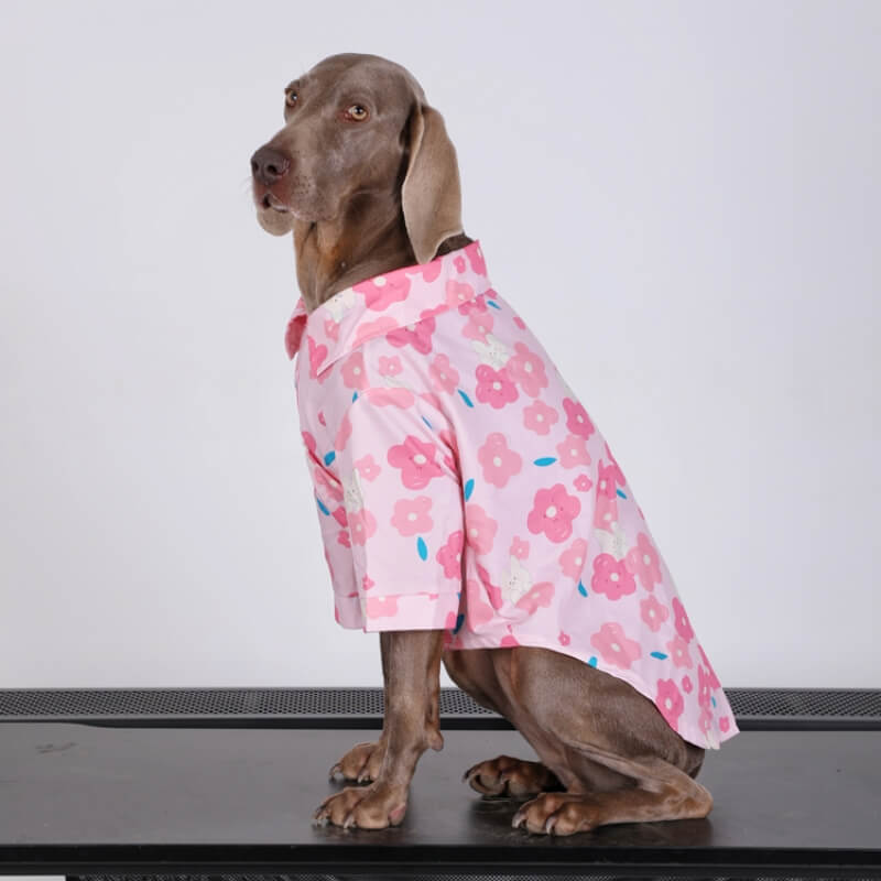 Roupa respirável da camisa floral cor-de-rosa elegante do cão para cães grandes