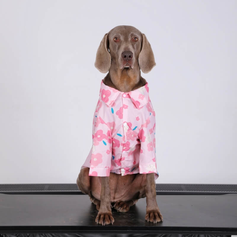 Roupa respirável da camisa floral cor-de-rosa elegante do cão para cães grandes