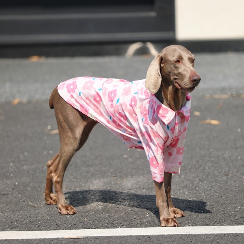 Roupa respirável da camisa floral cor-de-rosa elegante do cão para cães grandes