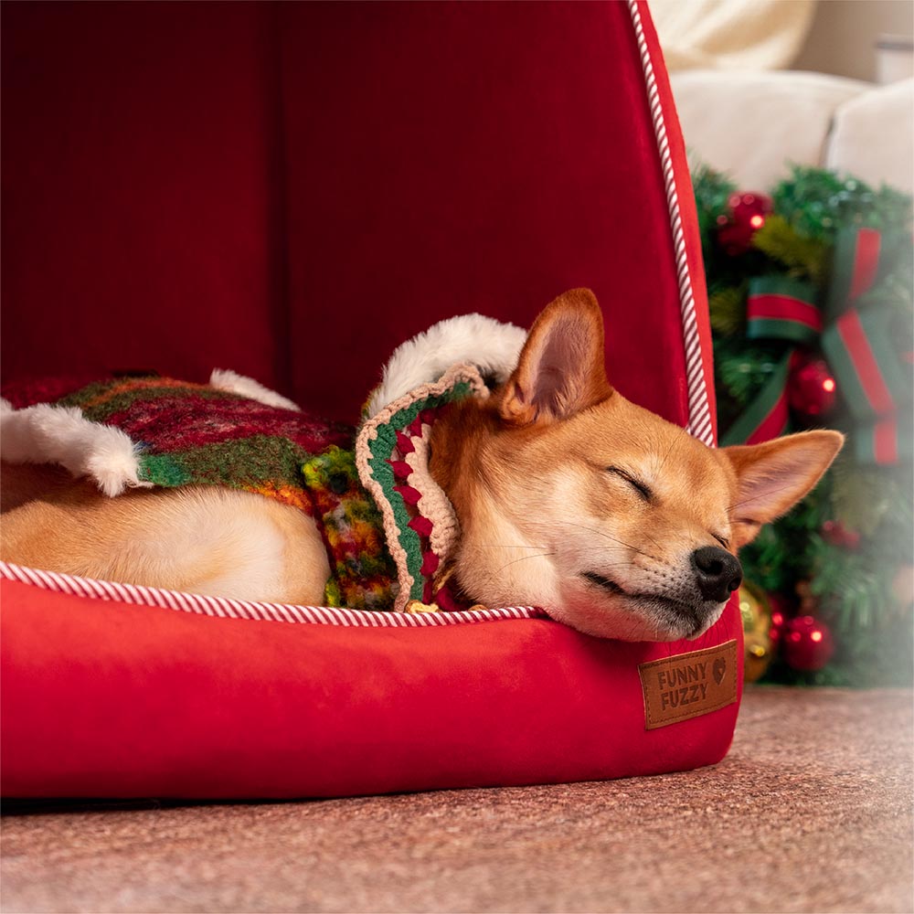 Cama ortopédica para cães Festive Snow House - Calor de Natal