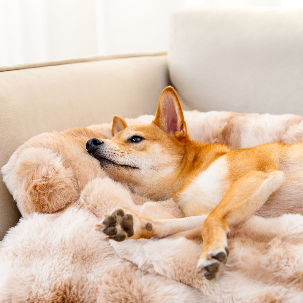 Manta Fofa Calmante e Protetora de Sofá e Cama para Cachorro Pets Fuzzy