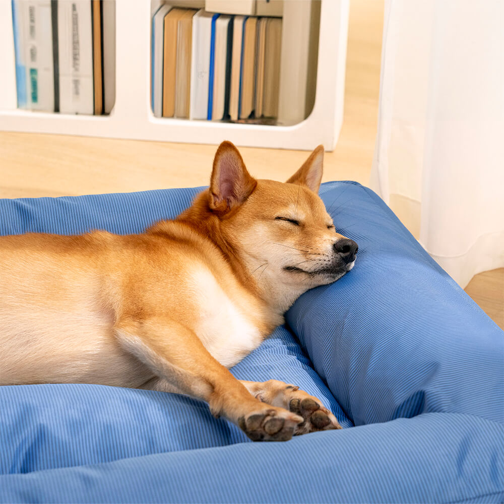 Cama Grande Impermeável para Cães com Apoio Circular Totalmente Ortopédico