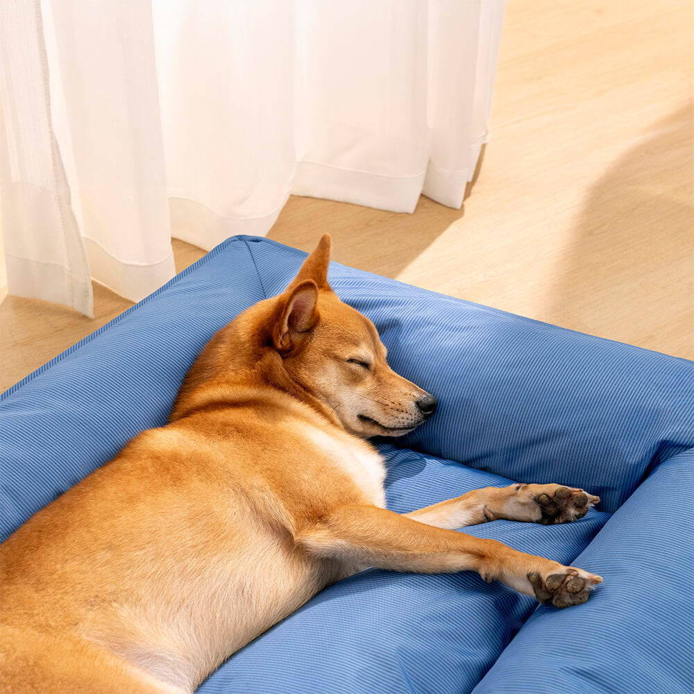 Cama Grande Impermeável para Cães com Apoio Circular Totalmente Ortopédico