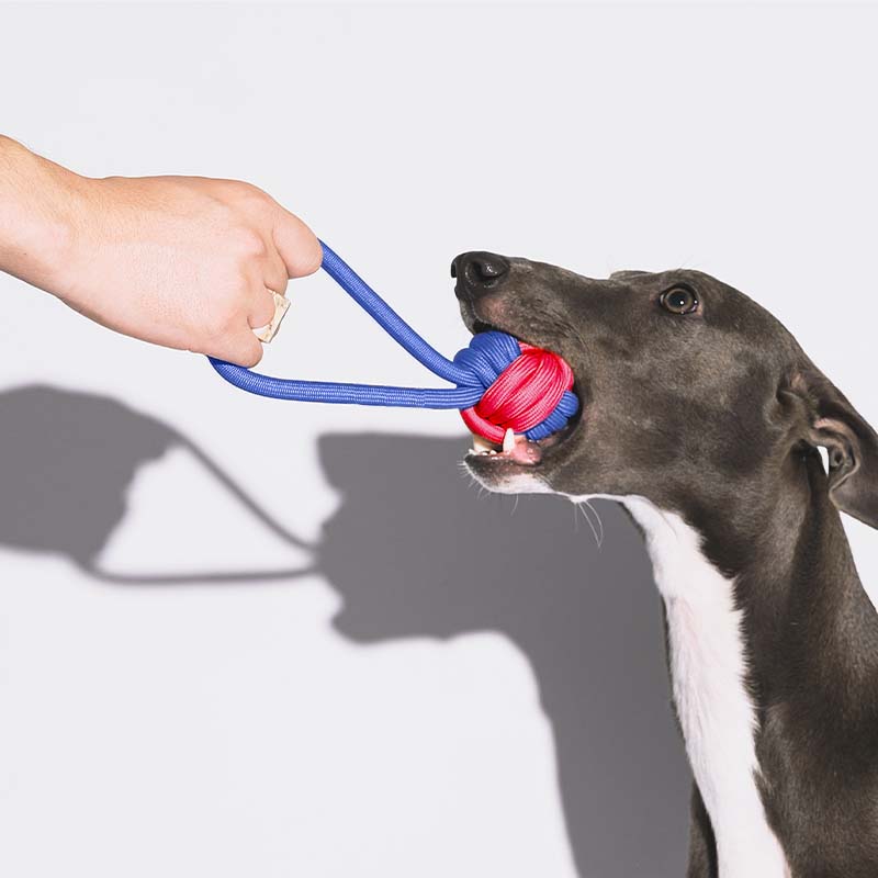 Brinquedo para cachorro rebocador de corda Knots - Confronto de cores