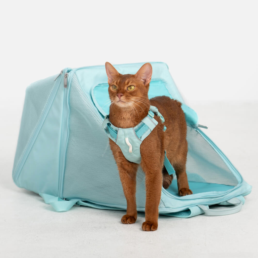 Mochila leve impermeável e dobrável de nylon respirável para cães e gatos