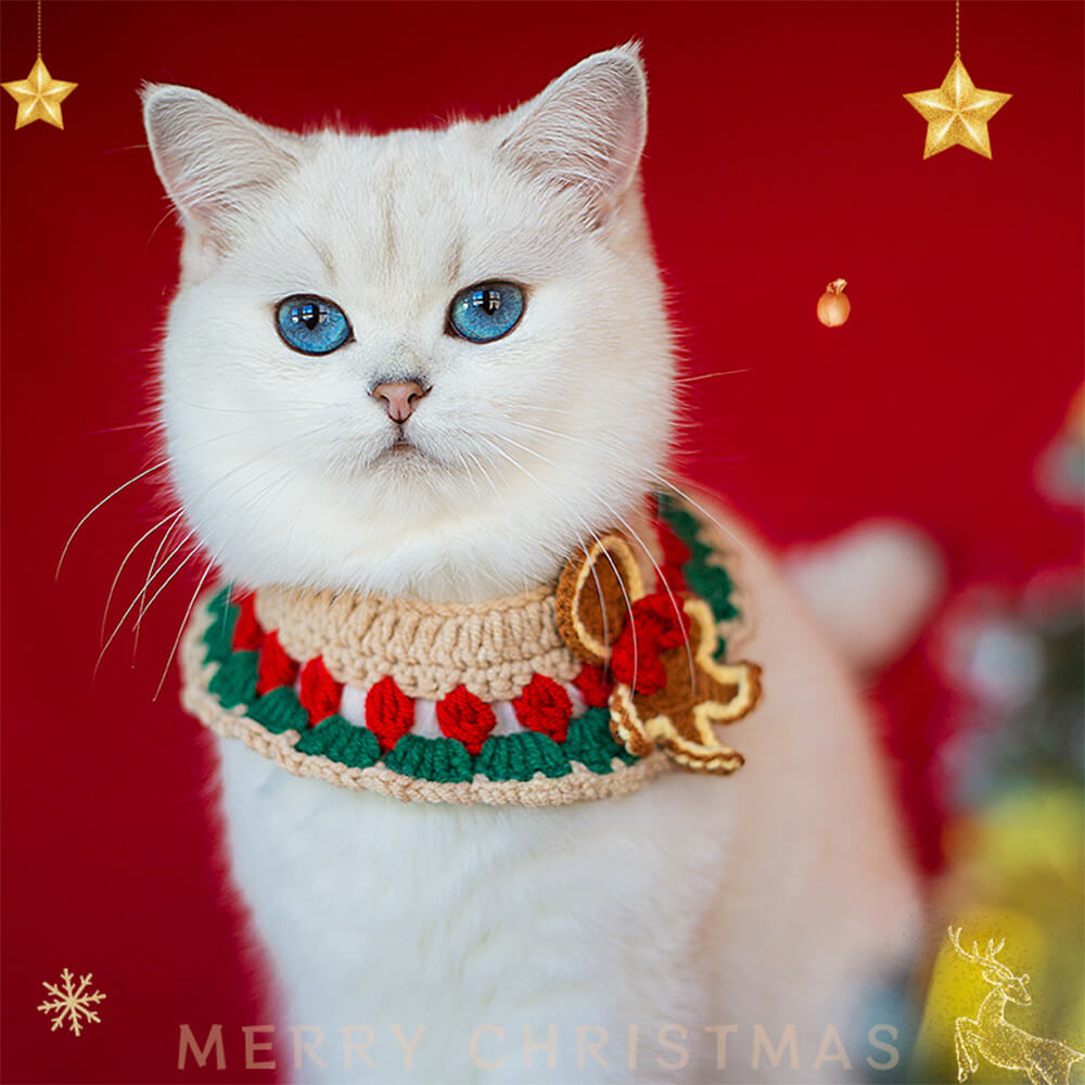 Cachecol de malha de Papai Noel de Natal combinando meias para animal de estimação e dono