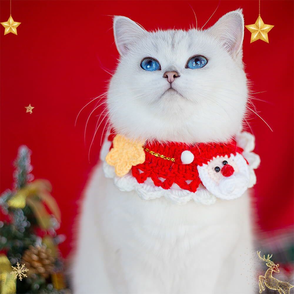 Cachecol de malha de Papai Noel de Natal combinando meias para animal de estimação e dono