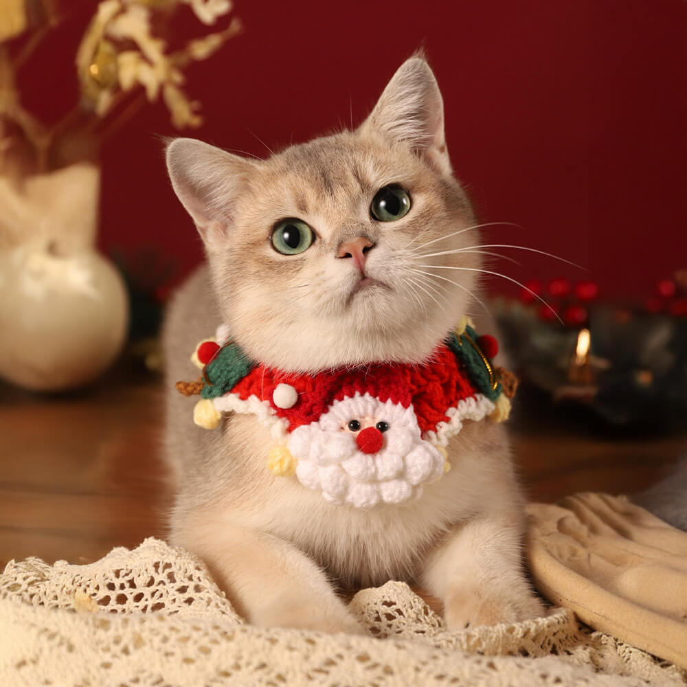 Cachecol de malha de Papai Noel de Natal combinando meias para animal de estimação e dono