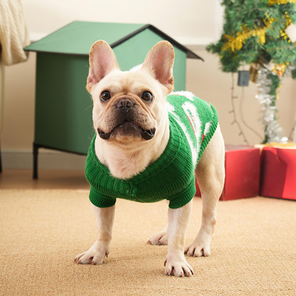 Suéter de malha de gola alta para cachorro de Natal combinando com pulôver para cães e donos