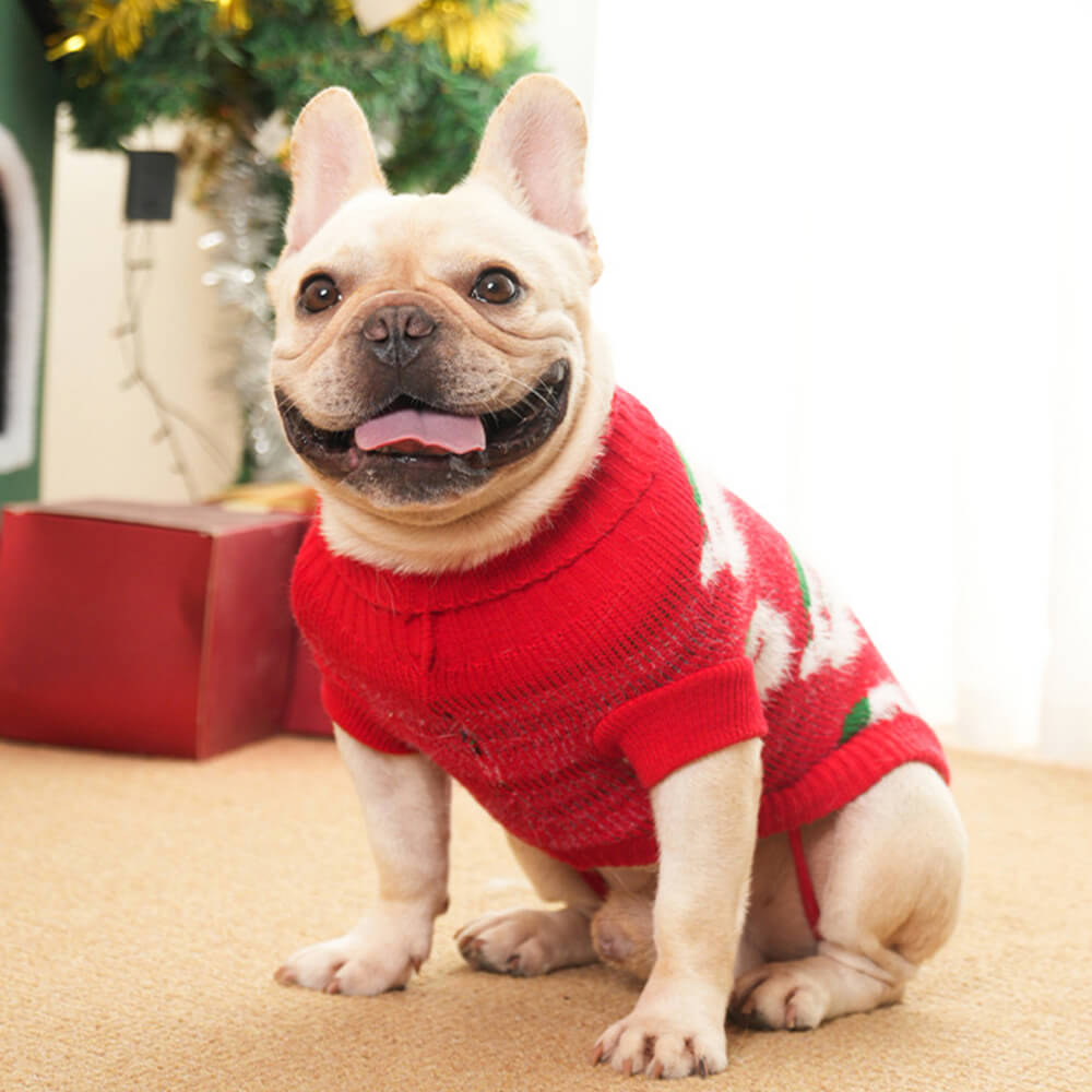 Suéter de malha de gola alta para cachorro de Natal combinando com pulôver para cães e donos