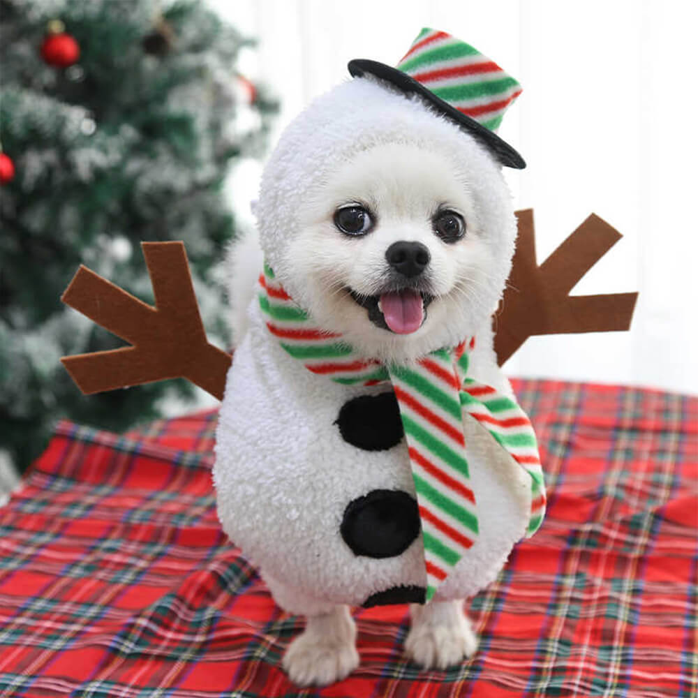 Traje de boneco de neve para caminhada de Natal Cosplay Cachorro e gato