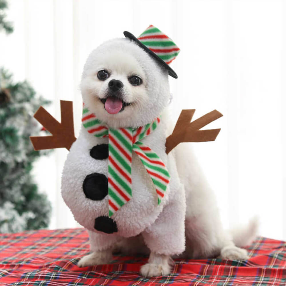 Traje de boneco de neve para caminhada de Natal Cosplay Cachorro e gato