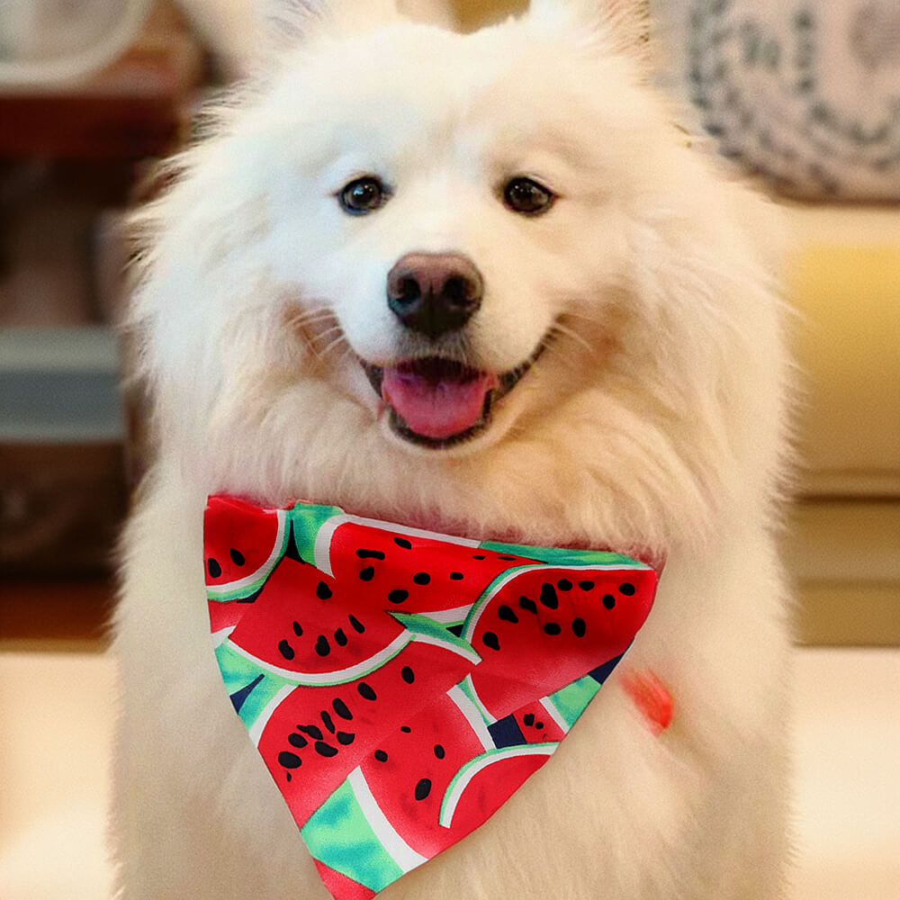 Trendy Tie-On Pets Acessórios elegantes Bandana para cães