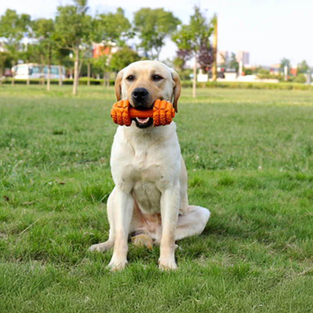 Haltere Silicone Alimentador Lento Durável Brinquedo Interativo para Cachorro