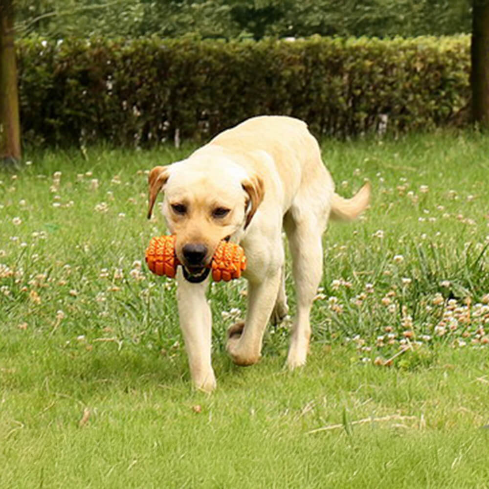 Haltere Silicone Alimentador Lento Durável Brinquedo Interativo para Cachorro