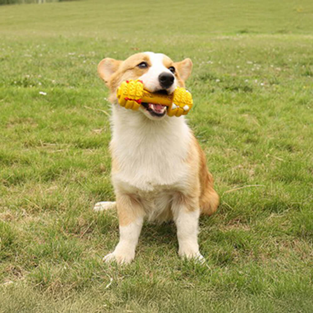 Haltere Silicone Alimentador Lento Durável Brinquedo Interativo para Cachorro