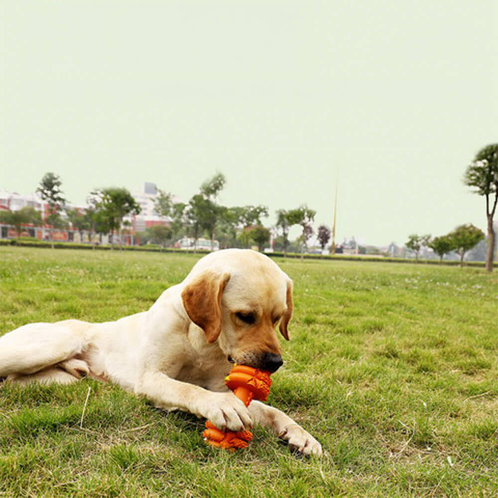 Haltere Silicone Alimentador Lento Durável Brinquedo Interativo para Cachorro