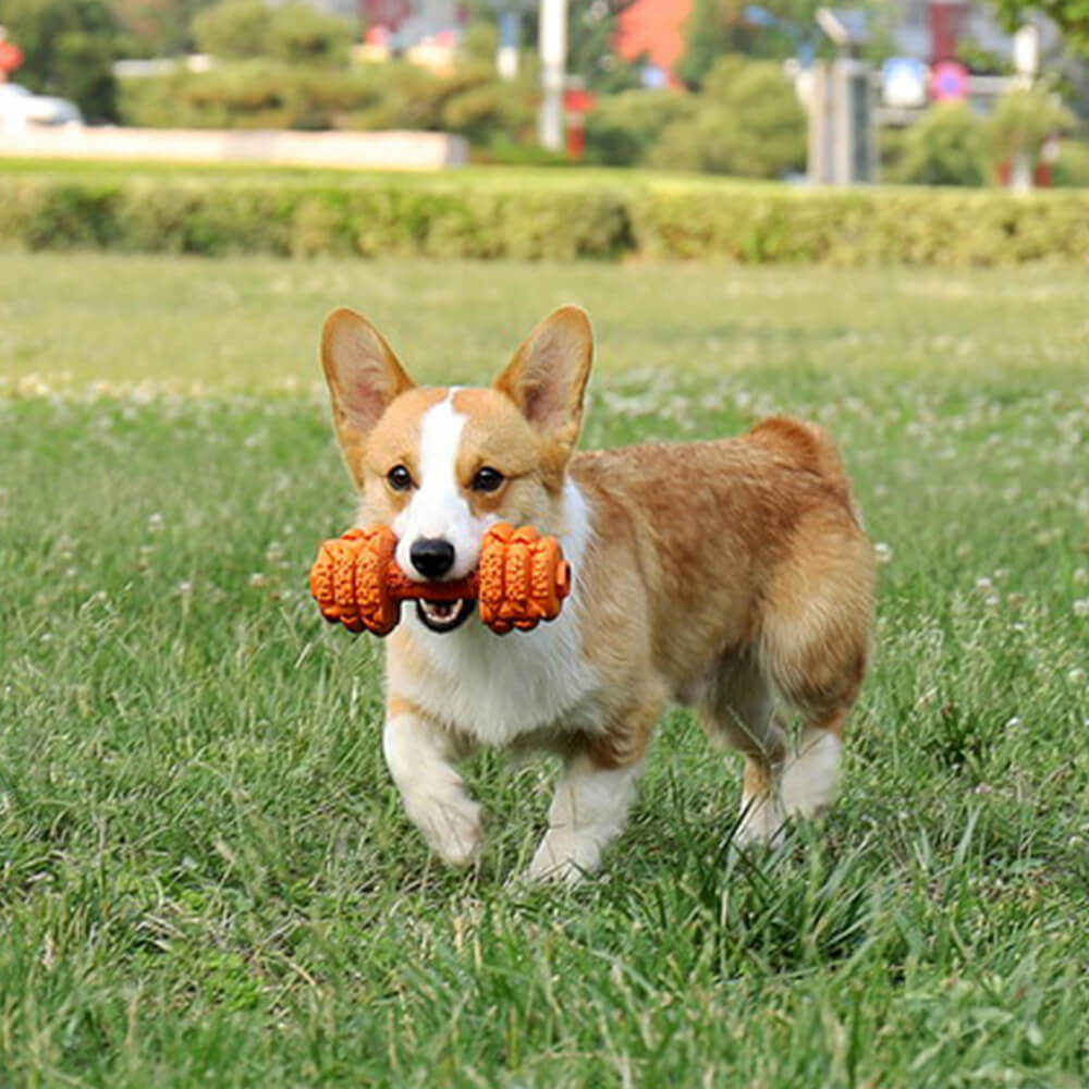 Haltere Silicone Alimentador Lento Durável Brinquedo Interativo para Cachorro